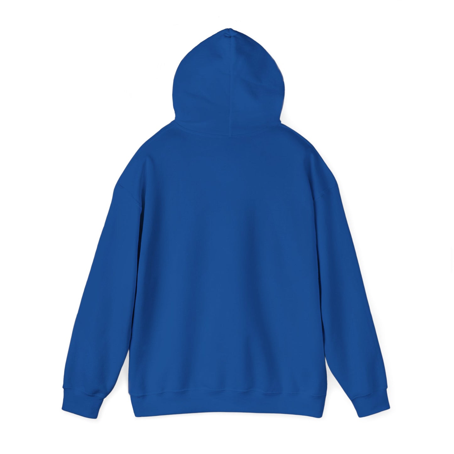 Romans 12:21 Hoodie