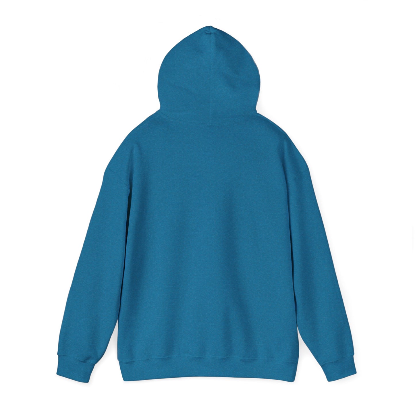 Matthew 5:14 Hoodie