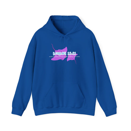 Romans 12:21 Hoodie