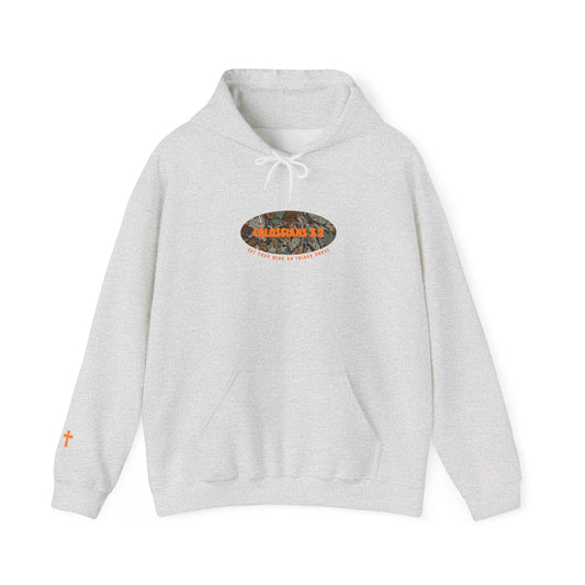Colossians 3:2 Hoodie