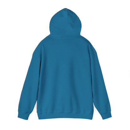 Matthew 5:14 Hoodie