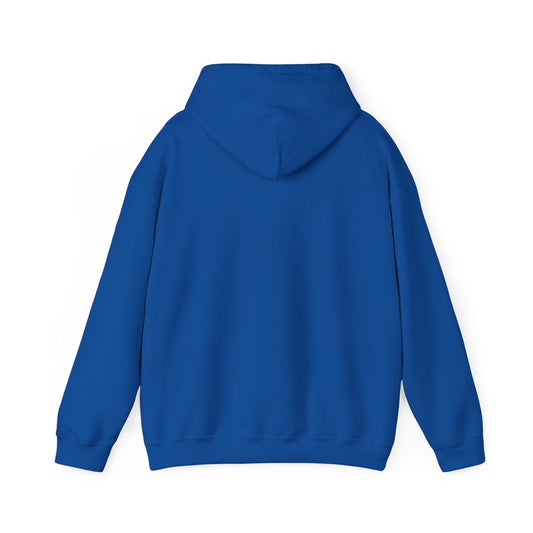 Romans 12:21 Hoodie